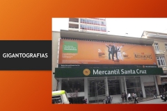 Diapositiva09