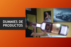 Diapositiva29